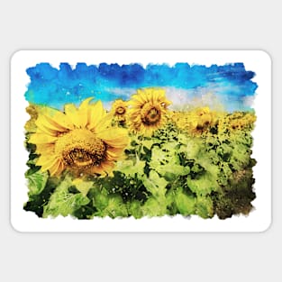 Sunflowers 10 Sticker